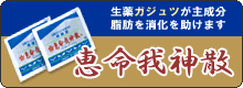 ガジュツが主成分の胃腸薬【恵命我神散】
